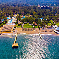 Champion Holiday Village